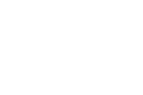Born and Raised Realty